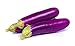 photo Long Purple Eggplant Seeds, 100+ Heirloom Seeds Per Packet, Non GMO Seeds, (Isla's Garden Seeds), Botanical Name: Solanum melongena, 82% Germination Rates 2024-2023