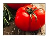 photo: You can buy 250 Beefsteak Tomato Seeds | Non-GMO | Fresh Garden Seeds online, best price $6.99 ($0.03 / Count) new 2024-2023 bestseller, review