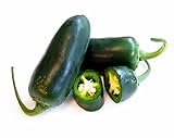 foto: jetzt Hot Chili Pfeffer Jalapeno Ruben - Pepper - sehr ertragreich - 10 Samen Online, bester Preis 1,60 € neu 2024-2023 Bestseller, Rezension