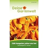 foto: jetzt Chili Hungaria yellow wax hot - Capsicum baccatum - Chilisamen - scharfe Sorte - Gemüsesamen - Saatgut für 6 Pflanzen Online, bester Preis 1,99 € (0,33 € / stück) neu 2024-2023 Bestseller, Rezension