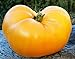 foto 50 semillas de tomate huerto, granja plantación semillas de hortalizas carne de naranja llena de naranja semillas raras esenciales 2024-2023