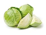 photo: You can buy Late Flat Dutch Cabbage Seeds, 1000 Heirloom Seeds Per Packet, Non GMO Seeds, Botanical Name: Brassica oleracea VAR. capitata, Isla's Garden Seeds online, best price $5.89 ($0.01 / Count) new 2024-2023 bestseller, review