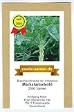 foto: jetzt Markstammkohl - vergessenes Gemüse - Brassica oleracea - 2000 Samen Online, bester Preis 1,95 € neu 2024-2023 Bestseller, Rezension
