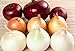 photo NIKA SEEDS - Vegetable Onion Rainbow Mix Neutral - 500 Seeds 2024-2023