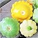 photo TomorrowSeeds - 3 Colors Mix Patty Pan Squash Seeds - 20+ Count Packet - Yellow, Green Tint, White Bush Scallop Summer Patisson Scallopini 2024-2023