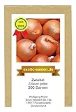 foto: jetzt Zwiebel - Zittauer Gelbe (300 Samen) Online, bester Preis 1,95 € neu 2024-2023 Bestseller, Rezension