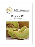 foto: jetzt Melonensamen Exelor F1 Galiamelone Portion Online, bester Preis 2,35 € neu 2024-2023 Bestseller, Rezension