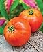 photo Burpee Better Boy Hybrid Large Slicing Red Variety Non-GMO Vegetable Planting | Disease-Resistant Tomato for Garden, 30 Seeds 2023-2022