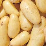 photo: You can buy Banana Potato - 6 Seed Potatoes online, best price $16.97 ($2.83 / Count) new 2024-2023 bestseller, review