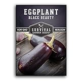 photo: You can buy Survival Garden Seeds - Black Beauty Eggplant Seed for Planting - Packet with Instructions to Plant and Grow Bell-Shaped Dark Purple Eggplant in Your Home Vegetable Garden - Non-GMO Heirloom Variety online, best price $4.99 new 2024-2023 bestseller, review