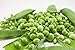 photo Early Frosty Pea Seeds, 50 Heirloom Seeds Per Packet, Non GMO Seeds, Isla's Garden Seeds 2023-2022