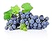 photo Homegrown Non GMO Grape Seeds, Bulk Seeds, Concord (20) 2023-2022