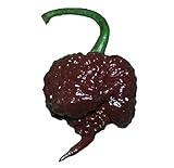 photo: You can buy Chocolate Carolina Reaper HP22B Pepper Premium Seed Packet Record Hottest in The World + More online, best price $6.99 new 2024-2023 bestseller, review