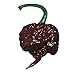 photo Chocolate Carolina Reaper HP22B Pepper Premium Seed Packet Record Hottest in The World + More 2024-2023
