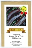 foto: jetzt Aubergine - Lunga Cima Viola - alte italienische Regionalsorte - 250 Samen Online, bester Preis 3,99 € neu 2024-2023 Bestseller, Rezension