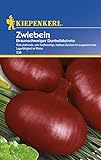 foto: jetzt Kiepenkerl Zwiebeln Braunschweiger Online, bester Preis 2,29 € neu 2024-2023 Bestseller, Rezension