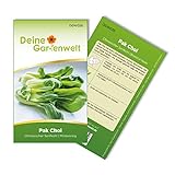 foto: jetzt Pak Choi Chinesischer Senfkohl Samen - Brassica rapa - Kohlsamen - Gemüsesamen - Saatgut für 60 Pflanzen Online, bester Preis 1,99 € (0,03 € / stück) neu 2024-2023 Bestseller, Rezension