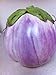 photo Rosa Bianca Eggplant Seeds- Heirloom- 100+ Seeds 2024-2023