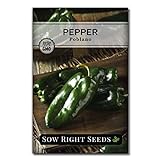 photo: You can buy Sow Right Seeds - Poblano Pepper Seeds for Planting - Make Ancho Chiles at Home - Non-GMO Heirloom Packet with Instructions to Plant a Home Vegetable Garden… online, best price $4.99 new 2024-2023 bestseller, review