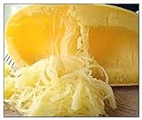 photo: You can buy Instant Latch 20 Spaghetti Squash Seeds | Non-GMO | Fresh Garden Seeds online, best price $6.95 new 2024-2023 bestseller, review