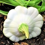 photo: You can buy TomorrowSeeds - Early White Patty Pan Seeds - 20+ Count Packet - Bush Scallop Summer Squash Patisson Custard Scallopini Vegetable Seed for online, best price $3.80 ($0.19 / Count) new 2024-2023 bestseller, review