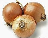 photo: buy Onion, Yellow Spanish Onion Seeds, (25+ Seeds) Heirloom, Non- GMO, One of The Most Popular for Gardeners, This Jumbo-Sized Onion is mild with Golden Brown Skin. online, best price $1.99 new 2022-2021 bestseller, review