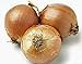 photo Onion, Yellow Spanish Onion Seeds, (25+ Seeds) Heirloom, Non- GMO, One of The Most Popular for Gardeners, This Jumbo-Sized Onion is mild with Golden Brown Skin. 2022-2021