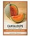 photo Cantaloupe Seeds for Planting - Hales Best Jumbo Heirloom, Non-GMO Vegetable Variety- 1 Gram Approx 45 Seeds Great for Summer Melon Gardens by Gardeners Basics 2024-2023