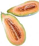 photo: You can buy Banana Melon Cucumber Seeds, Exotic and Rare, 120 Heirloom Seeds Per Packet, Non GMO Seeds, Isla's Garden Seeds online, best price $6.29 ($0.05 / Count) new 2024-2023 bestseller, review