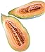 photo Banana Melon Cucumber Seeds, Exotic and Rare, 120 Heirloom Seeds Per Packet, Non GMO Seeds, Isla's Garden Seeds 2024-2023