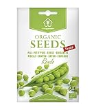 foto: jetzt Erbse Rondo, zertifizierte biologische Samen von Minigarden, enthält zwischen 60 und 120 Samen Online, bester Preis 2,95 € neu 2024-2023 Bestseller, Rezension