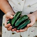 photo: You can buy Nadapeno Jalapeno Pepper - 25 Seeds - Heirloom & Open-Pollinated Variety, Non-GMO Vegetable Seeds for Planting in The Home Garden, Thresh Seed Company online, best price $7.99 new 2024-2023 bestseller, review