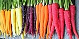 photo: You can buy Rainbow Carrot Seeds for Planting | Non-GMO & Heirloom Vegetable Seeds | 750 Carrot Seeds to Plant Outdoor Home Garden | Buy Planting Packets in Bulk (1 Pack) online, best price $7.99 new 2024-2023 bestseller, review
