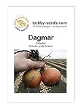 foto: jetzt Zwiebelsamen Dagmar Portion Online, bester Preis 1,35 € neu 2024-2023 Bestseller, Rezension