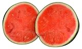 foto: comprar SWEETY Melone carmesí 10 Semillas Super-dulce- por Samenchilishop on-line, mejor precio 2,49 € nuevo 2024-2023 éxito de ventas, revisión