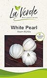 foto: jetzt White Pearl Kürbissamen Online, bester Preis 3,25 € neu 2024-2023 Bestseller, Rezension