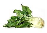 photo: You can buy 1000+ Canton Pak Choi Bok Choy Chinese Cabbage Seeds Heirloom Non-GMO Productive, Healthy, Brassica rapa VAR. chinensis, a.k.a. Canton's Choice, Bok Choi, US Grown! online, best price $5.59 new 2024-2023 bestseller, review