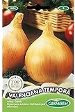 foto: comprar Germisem Valenciana Tempora Semillas de Cebolla 3 g on-line, mejor precio 2,70 € nuevo 2024-2023 éxito de ventas, revisión