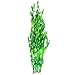 foto JDYW 52cm Künstliche Aquarium Pflanzen Große Kunststoff Wasserpflanze Gefälschte Wasser Gras Aquarium Dekorationen Ornament 20.5 Zoll 2022-2021