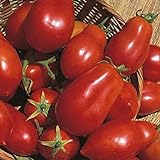 photo: acheter Shop Meeko Tomate - San Marzano - 75 graines en ligne, meilleur prix 4,59 € nouveau 2024-2023 best-seller, examen