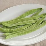 photo: You can buy David's Garden Seeds Bean Pole Northeaster 8845 (Green) 50 Non-GMO, Open Pollinated Seeds online, best price $4.95 new 2024-2023 bestseller, review