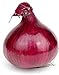 photo Red Grano Onion Seeds, 300 Heirloom Seeds Per Packet, (Short Day) Non GMO Seeds, Botanical Name: Allium cepa, Isla's Garden Seeds 2022-2021