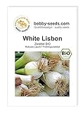 foto: jetzt BIO-Zwiebelsamen White Lisbon, Lauchzwiebel Portion Online, bester Preis 2,45 € neu 2024-2023 Bestseller, Rezension