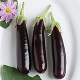 photo: You can buy David's Garden Seeds Eggplant Hansel (Purple) 25 Non-GMO, Hybrid Seeds online, best price $3.45 new 2024-2023 bestseller, review