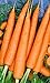 photo 1200 Tendersweet Carrot Seeds | Non-GMO | Fresh Garden Seeds 2022-2021