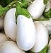 photo David's Garden Seeds Eggplant White Star (White) 25 Non-GMO, Hybrid Seeds 2024-2023