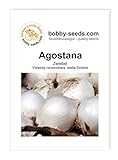 foto: jetzt Zwiebelsamen Agostana Portion Online, bester Preis 1,35 € neu 2024-2023 Bestseller, Rezension