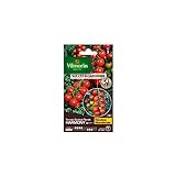 photo: acheter Vilmorin - Sachet graines Tomate Harmony HF1 en ligne, meilleur prix 7,75 € nouveau 2024-2023 best-seller, examen