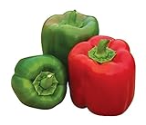 photo: You can buy Burpee 'Sweet Candy Apple' Hybrid | Bell Pepper online, best price $8.38 ($0.28 / Count) new 2024-2023 bestseller, review