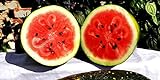 photo: You can buy 25 Moon and Star Watermelon Seeds | Non-GMO | Heirloom | Instant Latch Garden Seeds online, best price $7.95 new 2024-2023 bestseller, review